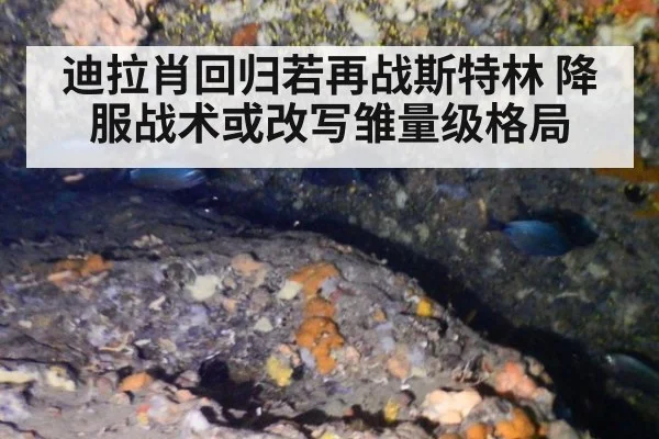 迪拉肖回归若再战斯特林 降服战术或改写雏量级格局