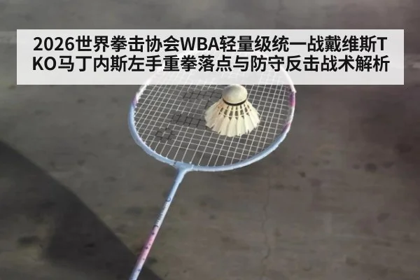2026世界拳击协会WBA轻量级统一战戴维斯TKO马丁内斯左手重拳落点与防守反击战术解析